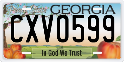GA license plate CXV0599