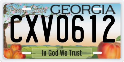 GA license plate CXV0612