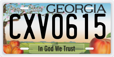 GA license plate CXV0615