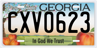 GA license plate CXV0623