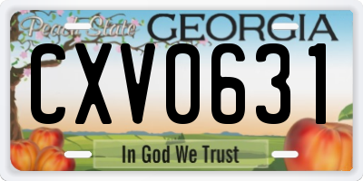 GA license plate CXV0631