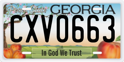 GA license plate CXV0663