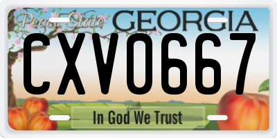 GA license plate CXV0667
