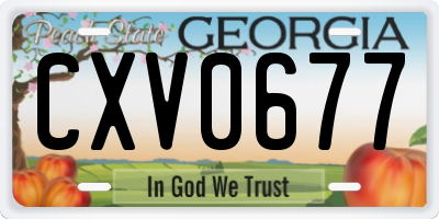 GA license plate CXV0677