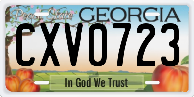 GA license plate CXV0723