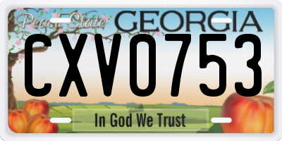 GA license plate CXV0753