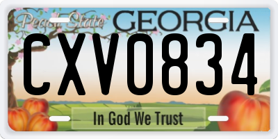 GA license plate CXV0834