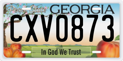 GA license plate CXV0873