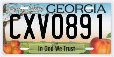 GA license plate CXV0891