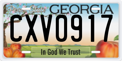 GA license plate CXV0917