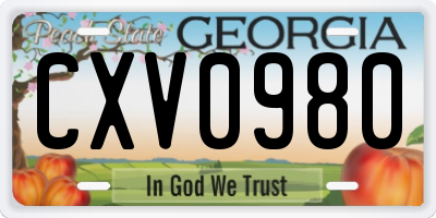 GA license plate CXV0980