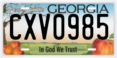 GA license plate CXV0985