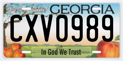 GA license plate CXV0989