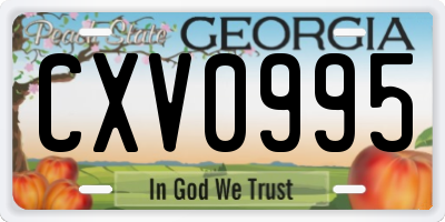GA license plate CXV0995