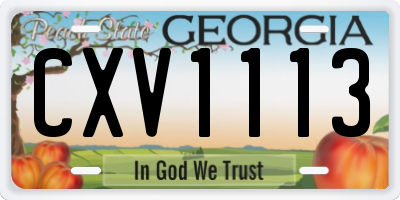 GA license plate CXV1113