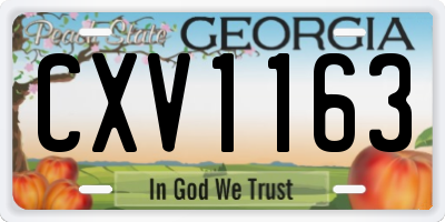 GA license plate CXV1163