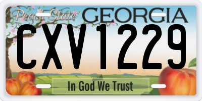 GA license plate CXV1229