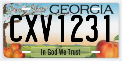 GA license plate CXV1231