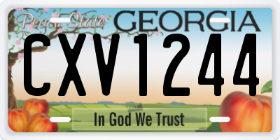 GA license plate CXV1244