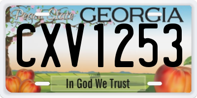 GA license plate CXV1253