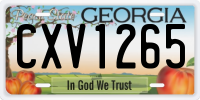 GA license plate CXV1265
