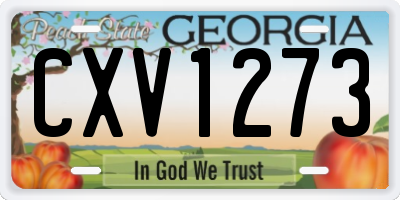 GA license plate CXV1273