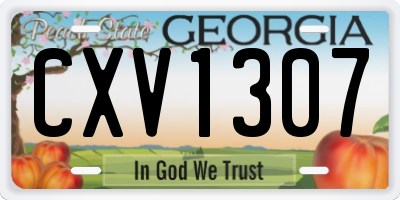 GA license plate CXV1307