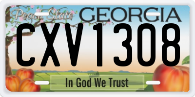 GA license plate CXV1308