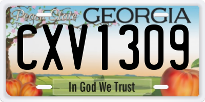 GA license plate CXV1309