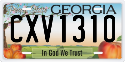 GA license plate CXV1310