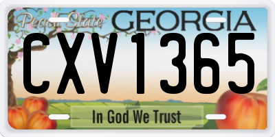 GA license plate CXV1365