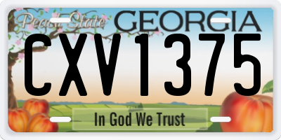 GA license plate CXV1375
