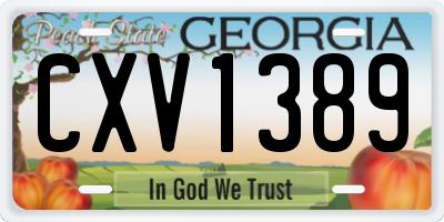 GA license plate CXV1389