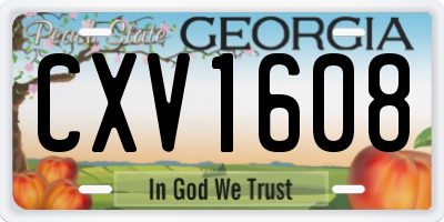 GA license plate CXV1608