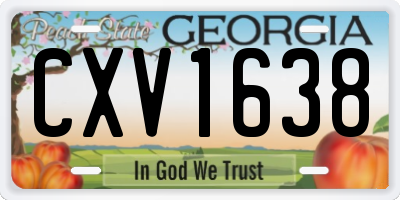 GA license plate CXV1638