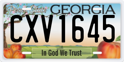 GA license plate CXV1645