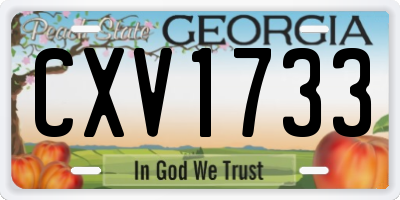 GA license plate CXV1733