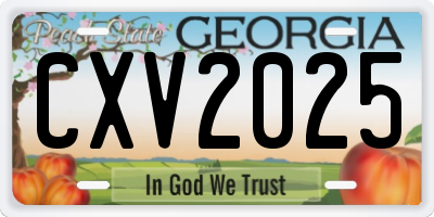 GA license plate CXV2025