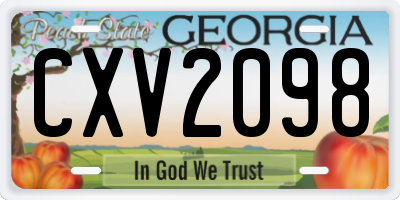 GA license plate CXV2098