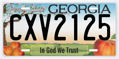 GA license plate CXV2125