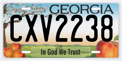 GA license plate CXV2238