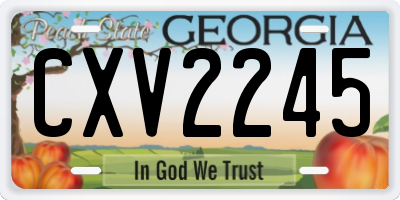 GA license plate CXV2245