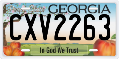 GA license plate CXV2263