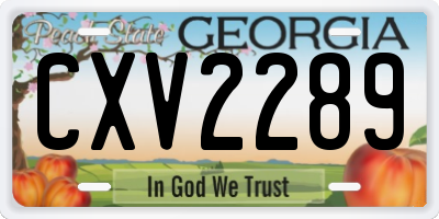 GA license plate CXV2289