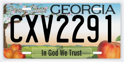 GA license plate CXV2291