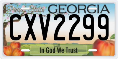 GA license plate CXV2299