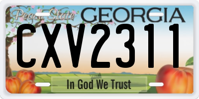 GA license plate CXV2311