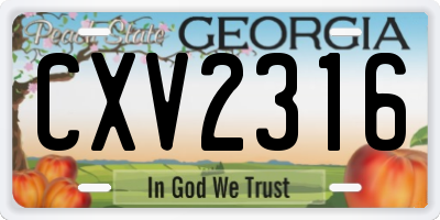 GA license plate CXV2316