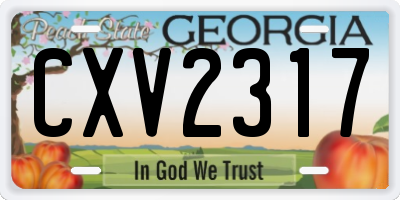 GA license plate CXV2317