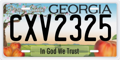 GA license plate CXV2325